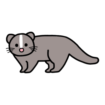 ハクビシン