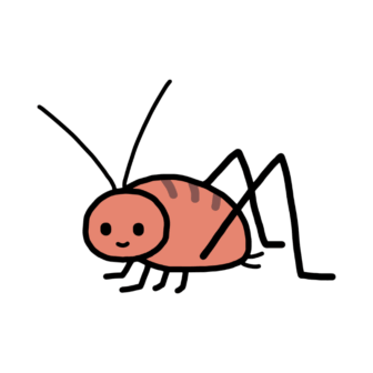 カマドウマ