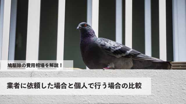 鳩駆除の費用相場を解説！業者に依頼した場合と個人で行う場合の費用と効果の比較