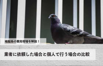鳩駆除の費用相場を解説！業者に依頼した場合と個人で行う場合の費用と効果の比較