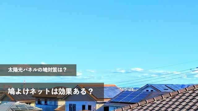 太陽光パネルの鳩対策は？鳩よけネットは効果ある？