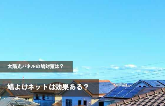 太陽光パネルの鳩対策は？鳩よけネットは効果ある？