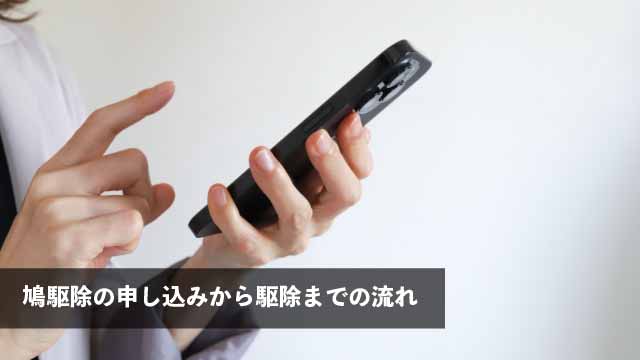 鳩駆除の申し込みから駆除までの流れ