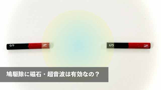 鳩駆除に磁石・超音波は有効なの？