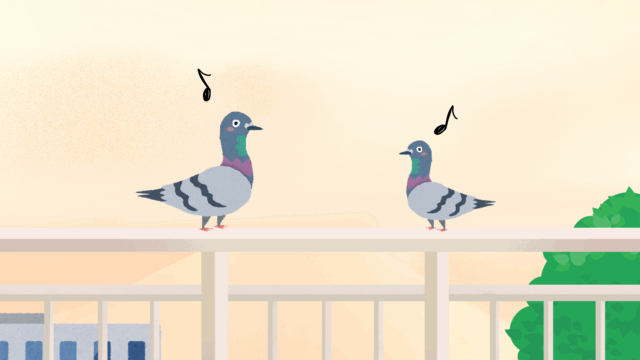 ベランダと鳩