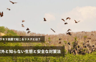 コウモリ放置で起こるリスクとは？意外と知らない生態と安全な対策法