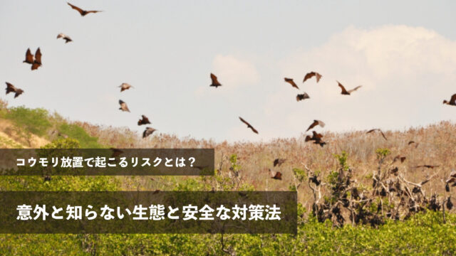 コウモリ放置で起こるリスクとは？意外と知らない生態と安全な対策法