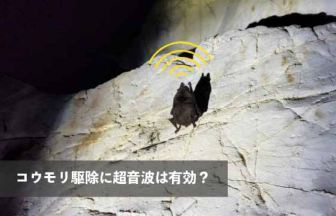 コウモリ駆除に超音波は有効？
