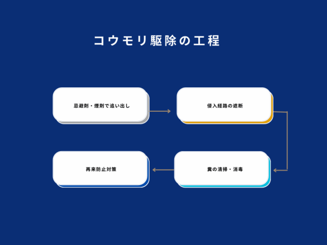 コウモリ駆除の工程