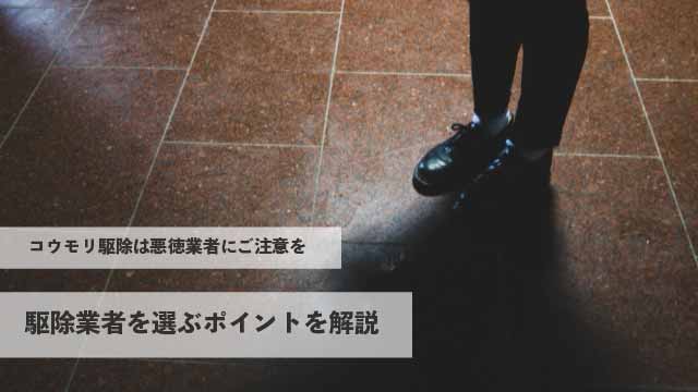 コウモリ駆除は悪徳業者にご注意を！駆除業者を選ぶポイントを解説