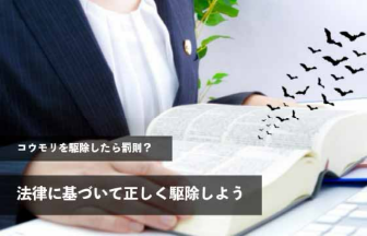 コウモリを駆除したら罰則？法律に基づいて正しく駆除しよう
