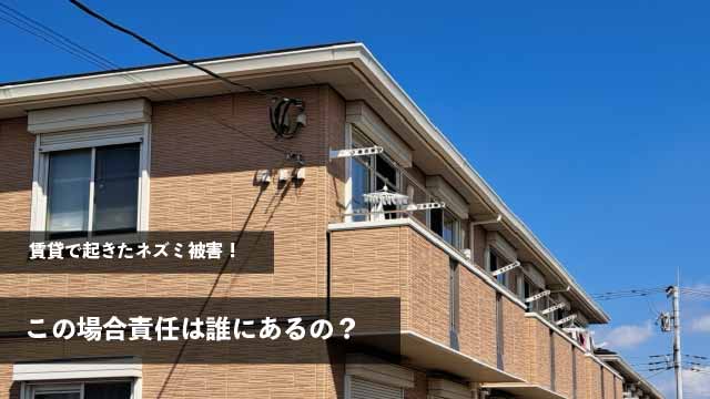 賃貸で起きたネズミ被害！この場合責任は誰にあるの？
