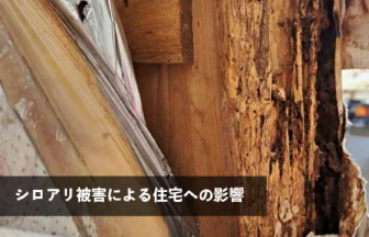 シロアリに被害を受けると家にどのような影響がでるの？