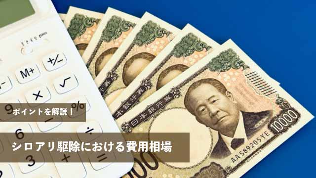 シロアリ駆除における費用相場やポイントを解説！
