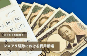 シロアリ駆除における費用相場やポイントを解説！