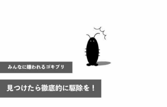 みんなに嫌われるゴキブリ、見つけたら徹底的に駆除を！