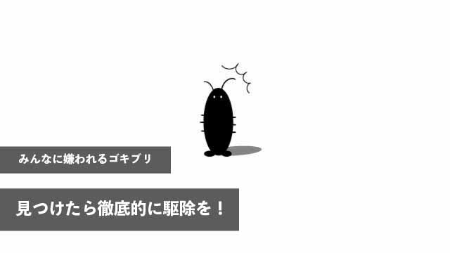 みんなに嫌われるゴキブリ、見つけたら徹底的に駆除を！