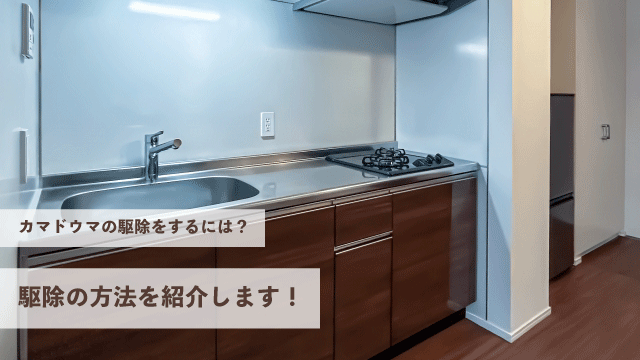 カマドウマの駆除をするにはどうすれば良い？駆除の方法を紹介します！