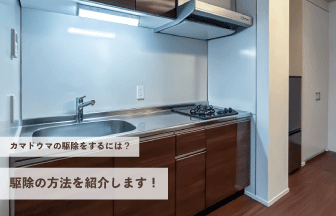 カマドウマの駆除をするにはどうすれば良い？駆除の方法を紹介します！