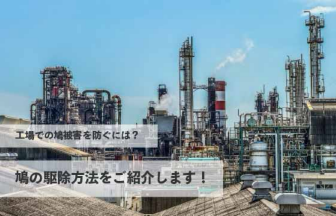 工場に起こる鳩の被害を防ぐにはどうすれば良い？鳩の駆除方法をご紹介します！