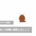 チャバネゴキブリを駆除するにはどうすれば良い？生態を知って的確に駆除しましょう