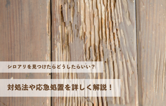シロアリを見つけたらどうしたらいい？対処法や応急処置を詳しく解説！