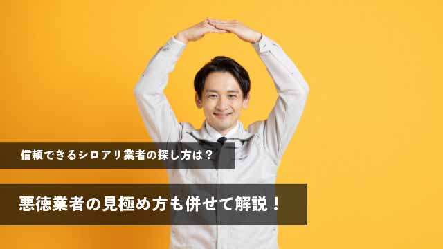 信頼できるシロアリ業者の探し方は？悪徳業者の見極め方も併せて解説！
