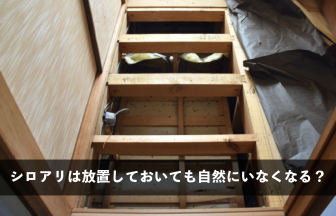 シロアリは放置しておいても自然にいなくなる？