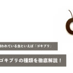 もっとも嫌われている虫といえばやはり「ゴキブリ」、そんなゴキブリの種類を徹底解説！