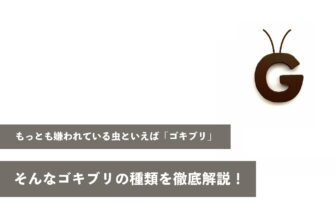 もっとも嫌われている虫といえばやはり「ゴキブリ」、そんなゴキブリの種類を徹底解説！