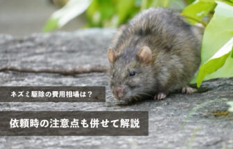 ネズミ駆除の費用相場は？依頼時の注意点も併せて解説