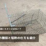 ネズミには良いイメージはない？ネズミの種類と駆除の仕方を紹介していきます。