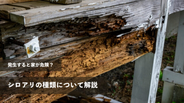 発生すると家が危険？そんなシロアリにもいくつかの種類がいるって知っていますか？