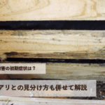 シロアリ被害の初期症状は？普通のアリとの見分け方も併せて解説