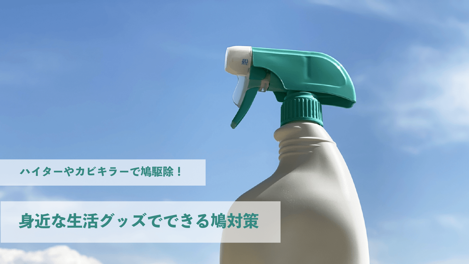 ハイターやカビキラーで鳩駆除！身近な生活グッズでできる鳩対策