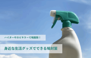 ハイターやカビキラーで鳩駆除!身近な生活グッズでできる鳩対策