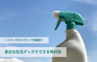 ハイターやカビキラーで鳩駆除！身近な生活グッズでできる鳩対策