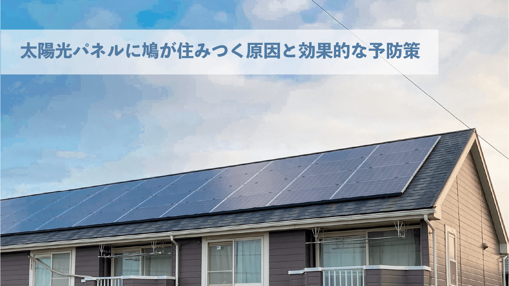 太陽光パネルに鳩が住みつく原因と効果的な予防策とは？