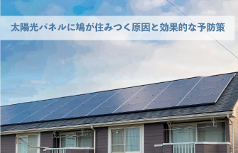 太陽光パネルに鳩が住みつく原因と効果的な予防策とは？