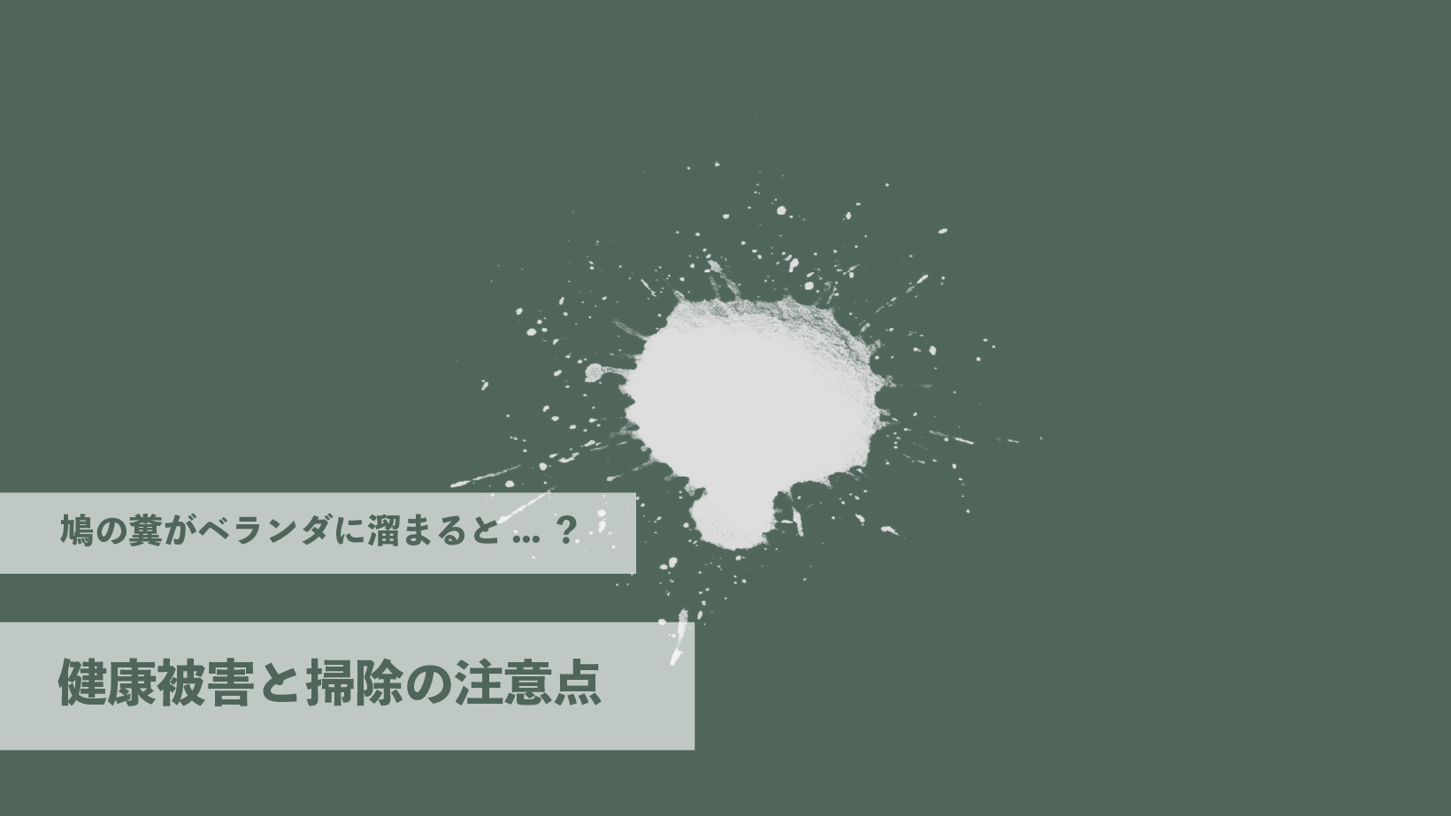 鳩の糞がベランダに溜まるとどうなる？健康被害と掃除の注意点