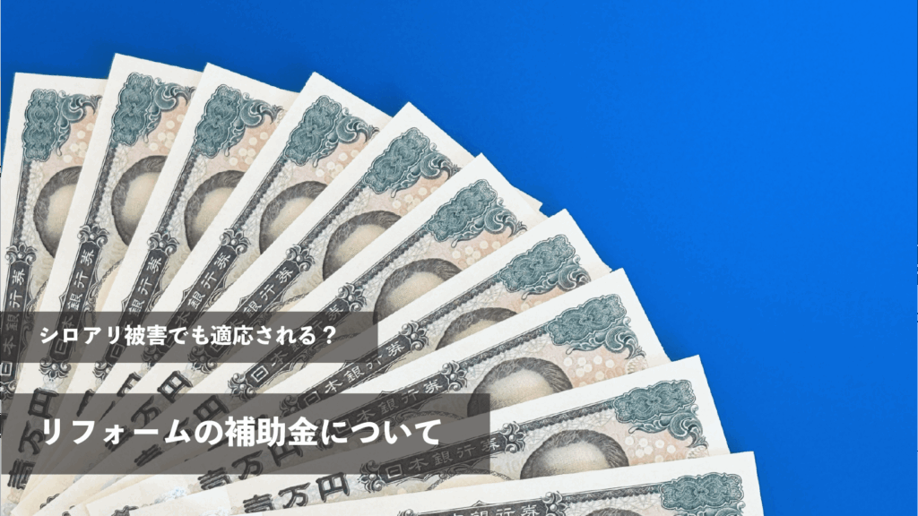 シロアリ被害によるリフォームの場合補助金はもらえる？条件・種類・申請の流れを徹底解説