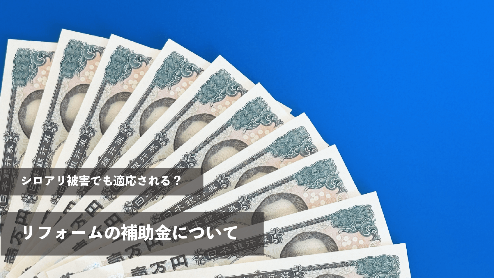 シロアリ被害によるリフォームの場合補助金はもらえる？条件・種類・申請の流れを徹底解説