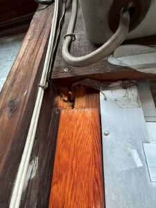 シロアリ駆除工事 被害部分