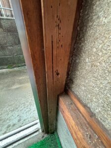 シロアリ駆除工事 被害部分