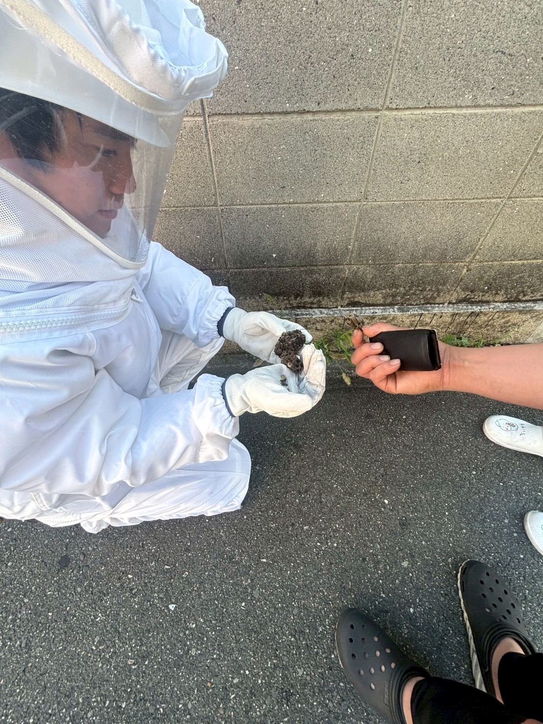 奈良県生駒市にて蜂の巣駆除の施工後写真