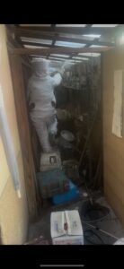 蜂駆除 現場