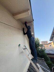 蜂駆除 現場