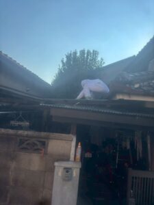 蜂駆除 現場
