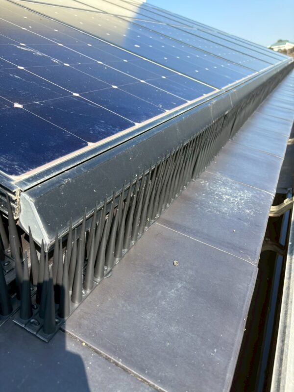 太陽光パネル下の隙間を塞ぐ様子
