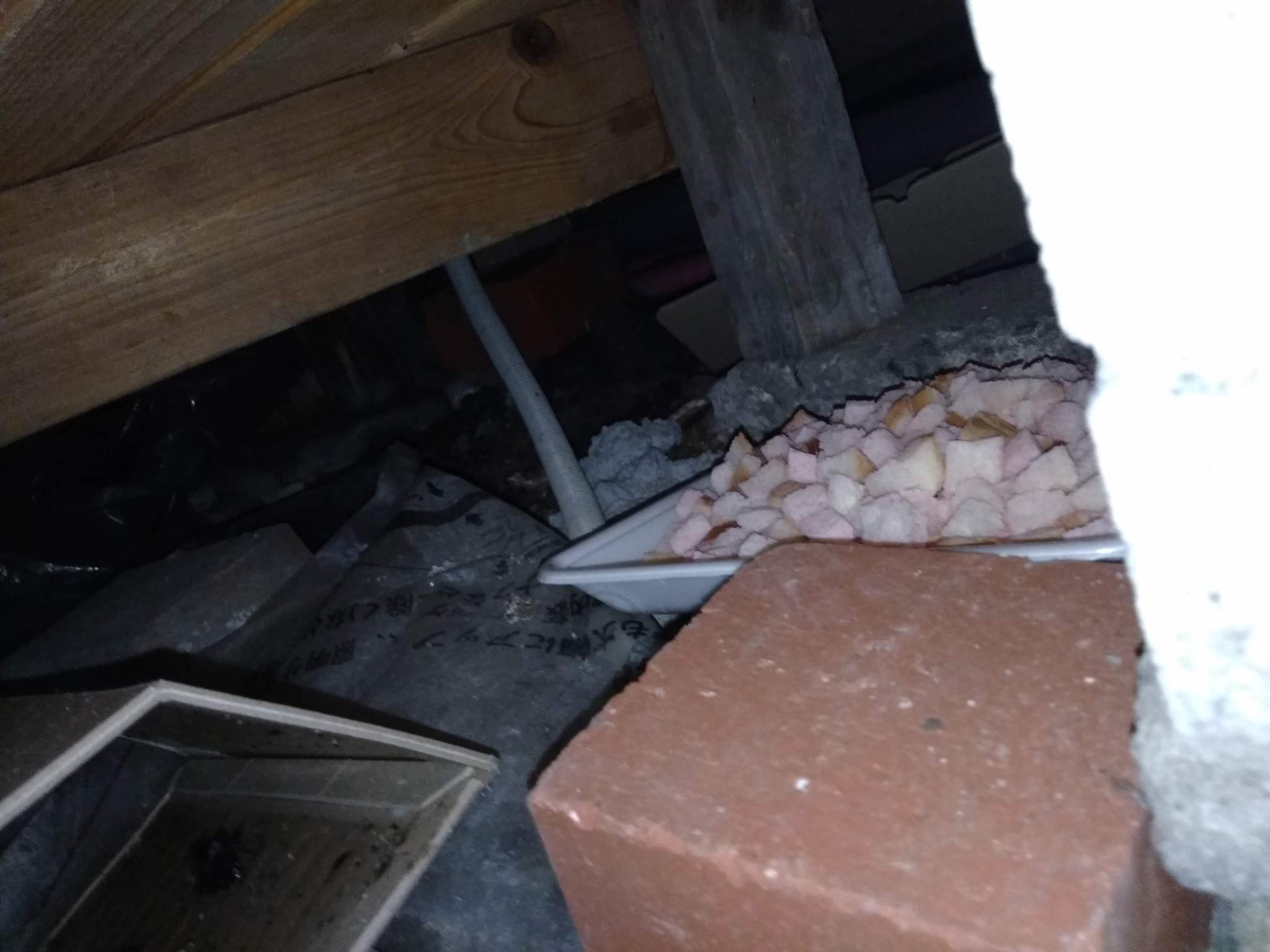 京都市伏見区にて害獣駆除・ネズミ駆除の施工前写真